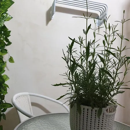 La Petite Maison * 锡拉库扎